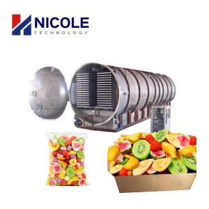  CE Commercial Use Lyophilizer Beef Vacuum Freeze Dryer For Vegetable And Fruit Manufactures