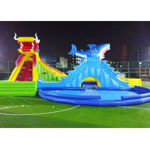 Circular Giant Kids Inflatable Water Slide Inflatable Dragon And Shark Slide