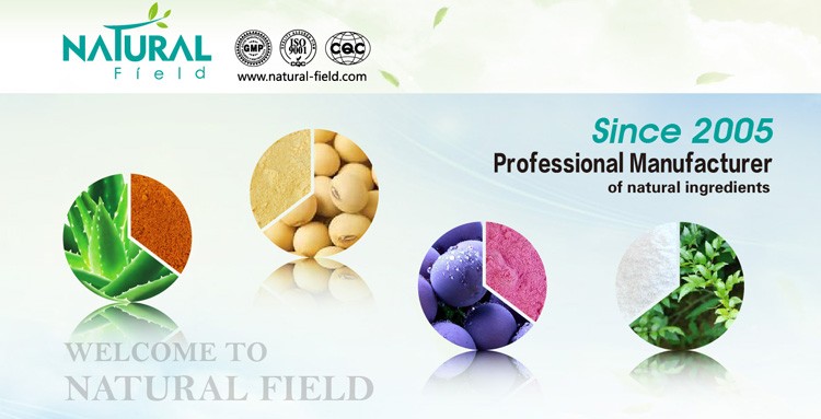 Best Sells Product Phloretin, Free Samples Green Apple Extract, China Supplier Apple Extra