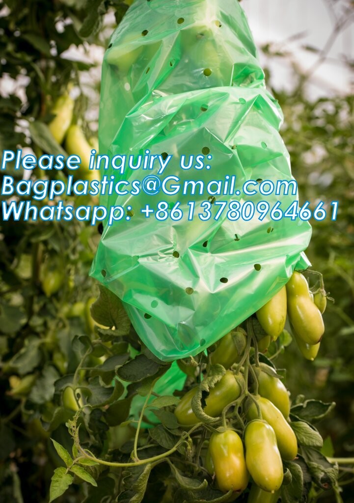 Perforated Tomato Tube Cover Frost Protection Bag Garden Used Cover Tomato Growing Covers Sleeves With Ties