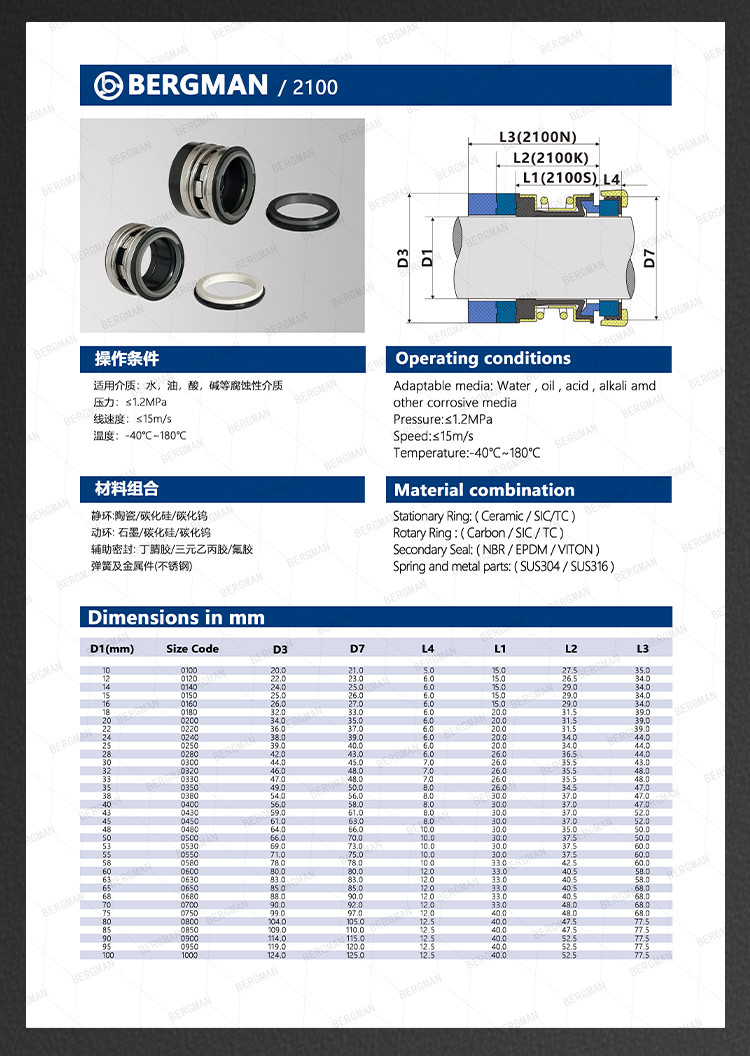 BERGMAN Replaces John Crane 2100-S 12mm-100mm G60 G4 G6 G9 G13 G16 BS Bo BP Pump Mechanical Seal