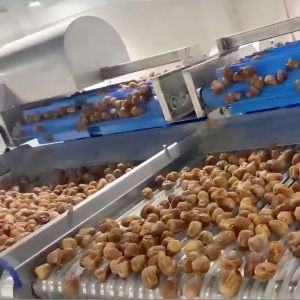 360° Rotating Dates Grading Machine High Precision Defect Detection Customizable