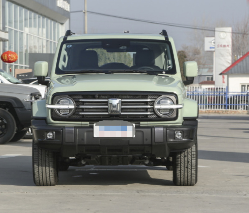Diesel Or Gasoline Car 2023 Tank300 2.0T City Model Must Version Gasoline Compact SUV