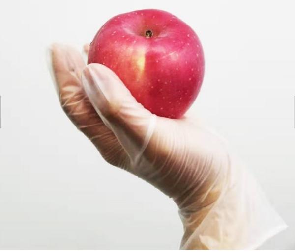 Small Food Safe Latex Free Powder Free Disposable Gloves Soft And Uniform