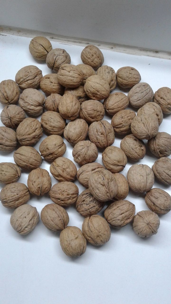Automatic Walnut Cashew Sorting Machine Processing Machine RGB Color Sorter
