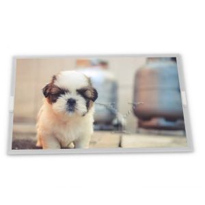 10.1 Inch Tft Lcd Screen GV101WXM-N85 1280*800 Lcd Display Panel