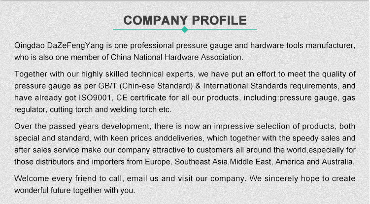 Dry Stainless Steel Pressure Meter 60mm Manometro Pressure Gauge