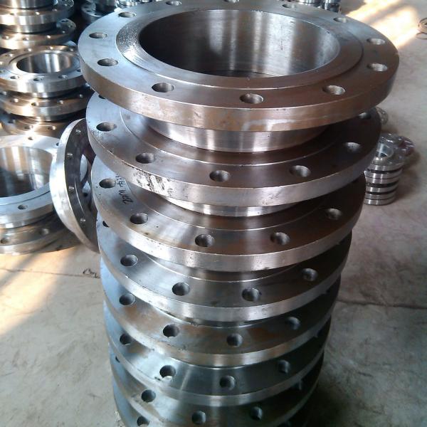 Forging Ra0.2 Stainless Steel Tube Flange Aluminum HDPE Stub End With Backing