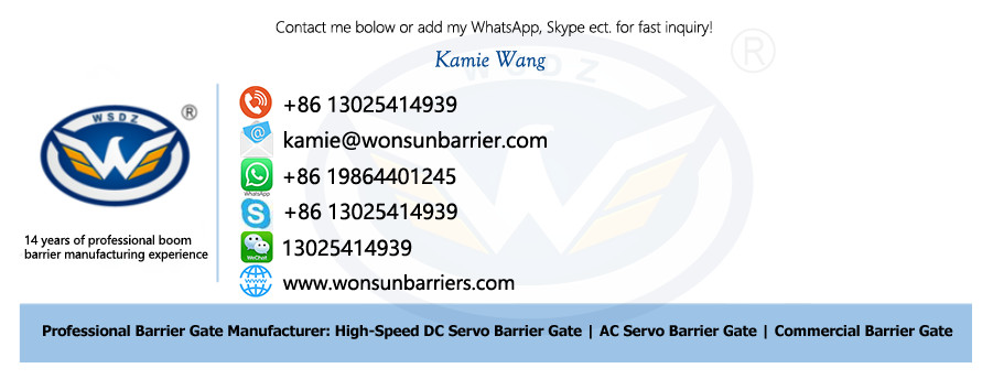 DC Brushless Automatic Sliding Gate Motor for 500KG - 1800KG Gate Automation