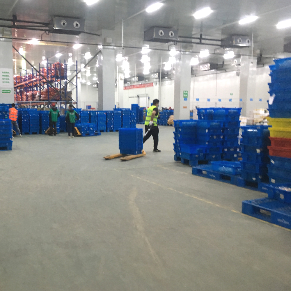 Egg Collapsible Plastic Crates Shipping Stacking Nesting Agricultural Supermarkets