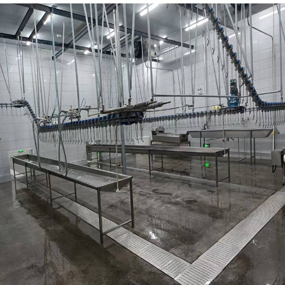 3400KG Halal Poultry Slaughterhouse Equipment Turkey Duck Broiler Chicken Processing