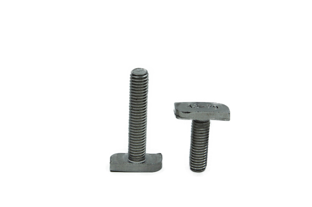 Stainless steel A2-70 A4-80 M8 M10 Din188 quality Solar T Slot Bolt