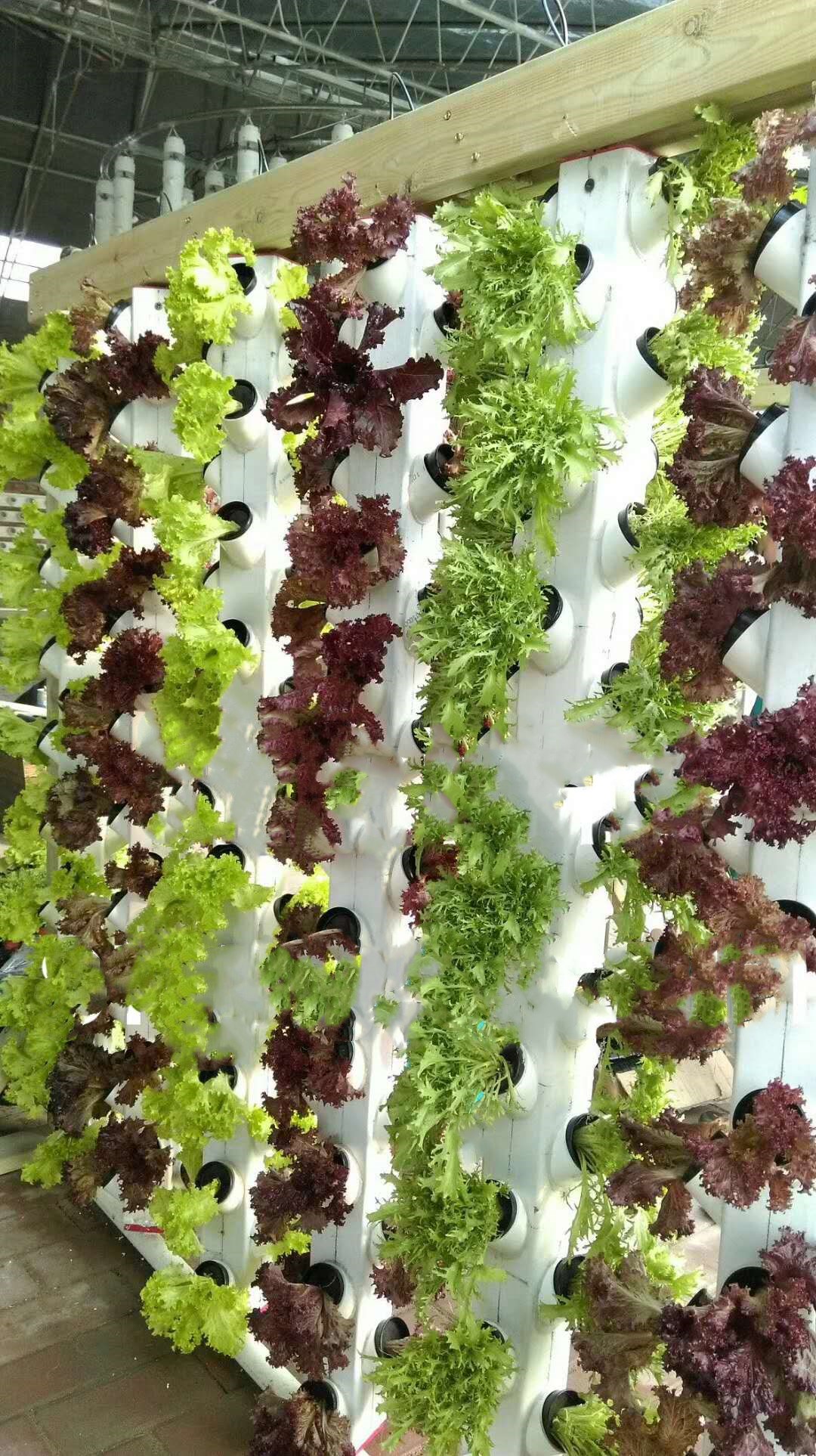 Agricultural Greenhouse Super Growtower Hydroponic Grow Systems Planting System