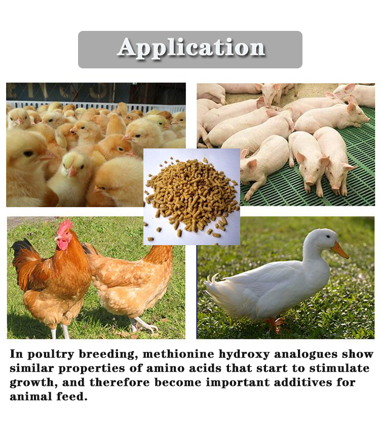 Promote Nutrition with 88.2% Purity Dl-Methionine Animal Feed Grade Lysine Methionine
