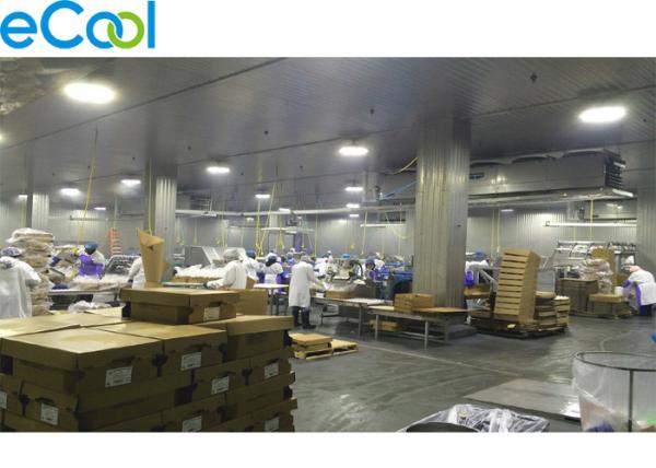 Quality Large Freezer Storage Warehouse / Warehouse Refrigeration Systems -18C~-20 ℃ for sale