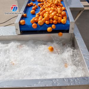 vegetable drying equipment Fruit and vegetable selection washing and drying