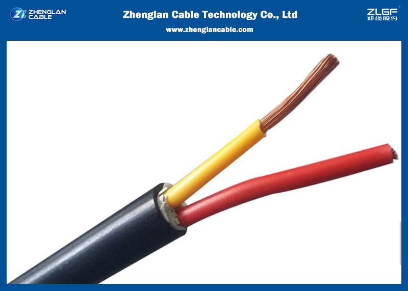 300/500V 2 & 3 Cores Proof Wire/ Cu Conductor Fire Resistant Cable with PVC Insulated /Test voltage: 2000V