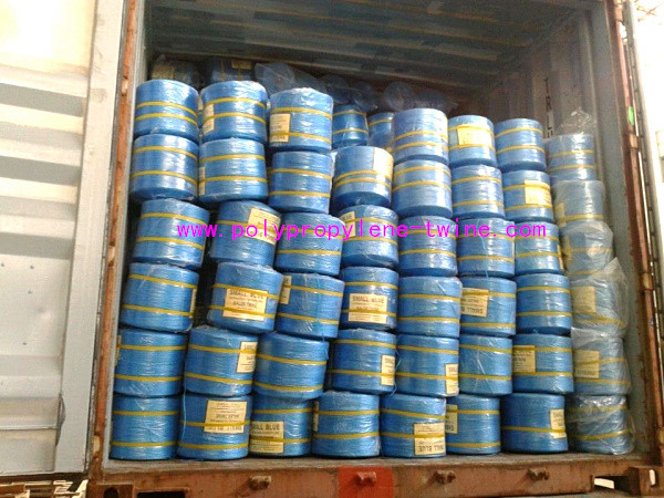 Polypropylene Thread Packing 1800m/roll 3000m/roll PP Twine Farm Garde