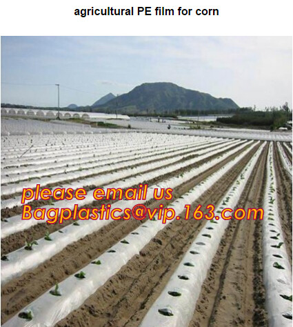 Multi-Span Plastic Film Cover Natural Ventilation Vegetable Greenhouse,Greenhouse Kits Plastic Greenhouse 200 micron gre