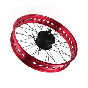  Electric Bicycle Bike Conversion Kit Rear Wheel 48 Volt 1000 Watt with LED display Manufactures