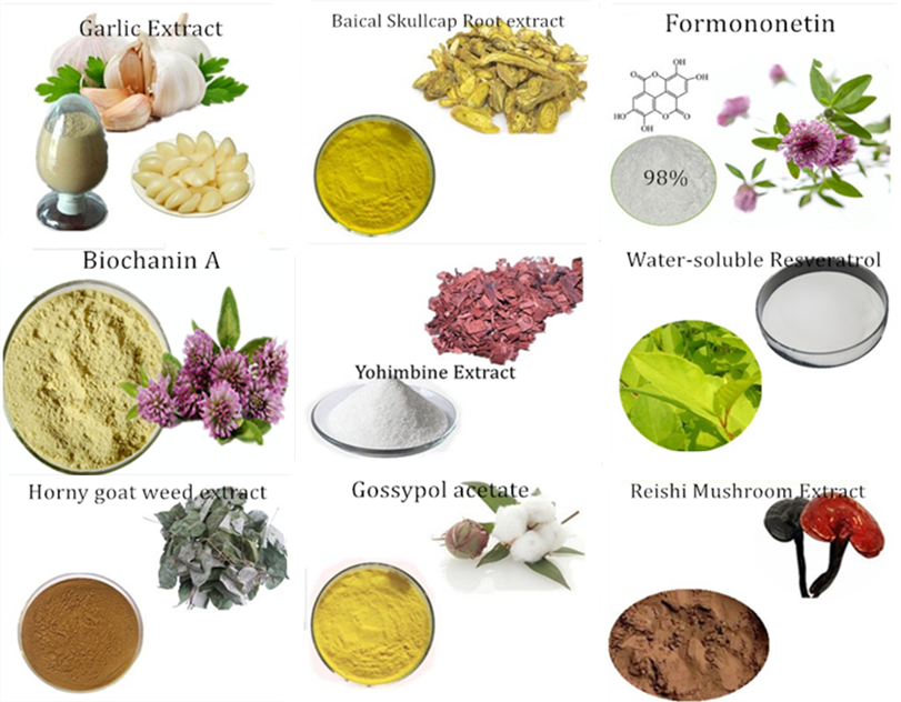 Best quality antibacterial rhubarb extract emodin physcion 10% CAS NO.:521-61-9