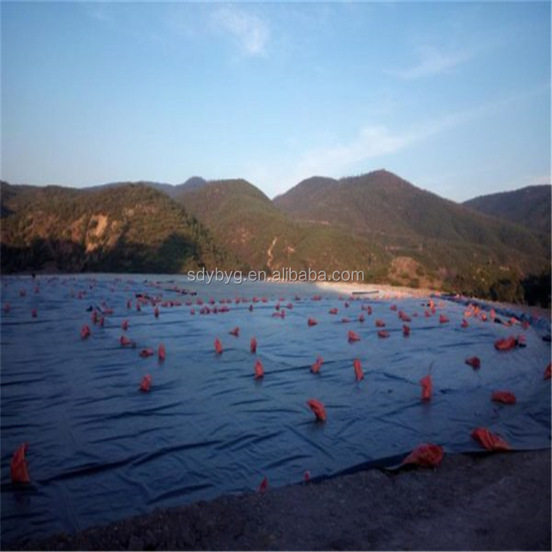 Store Sales Promotion HDPE Geomembrane Liner for Plastic Protection Requirements