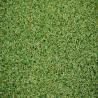 Buy cheap Artificial Grass carpet Waterproof Sports Flooring Golf Grass from wholesalers