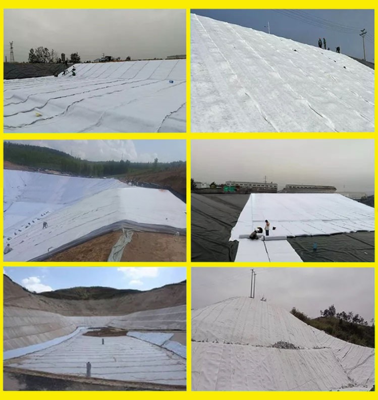 HDPE Mesh 3D Composite Drainage Composite Geo Net Geonet for Durable Drainage Solution