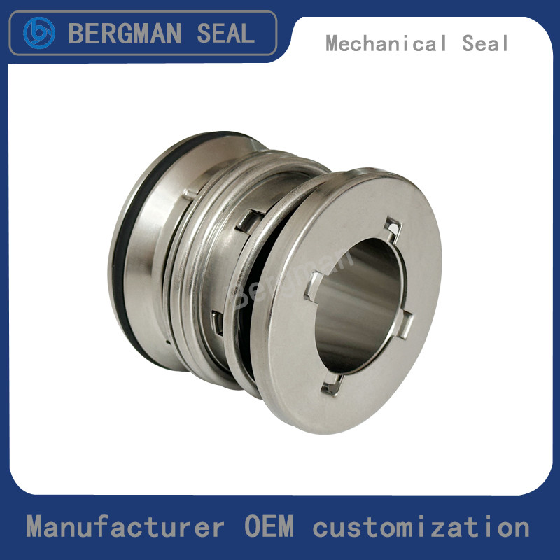 BERGMAN Pump Seal SGRL-38.1mm 47.6mm SGRL Pump TC VITON Mechanical Seal