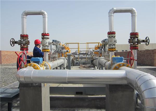 Customized Natural Gas Equipment Pressure Control And Metering Gas Regulator