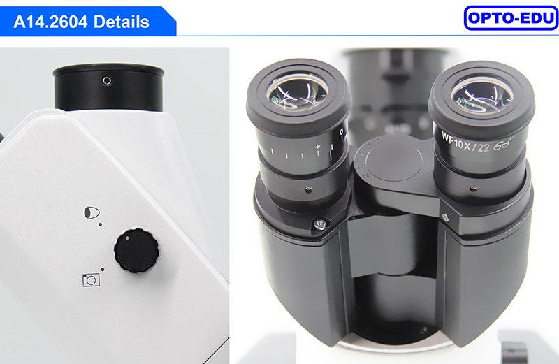 Opto-Edu A14.2604 Inverted Optical Trinocular Phase Contrast Cell Factory Microscope