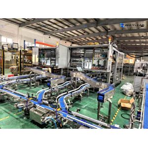 Food Processing Factory Specifies Electric Automatic Hffs Horizontal Flow
