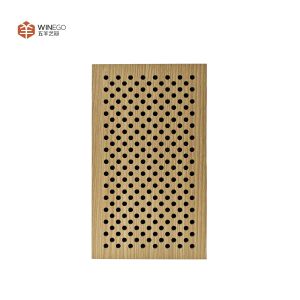 Architectural Perforated Acoustic Panel Ceiling & Wall Installation for
