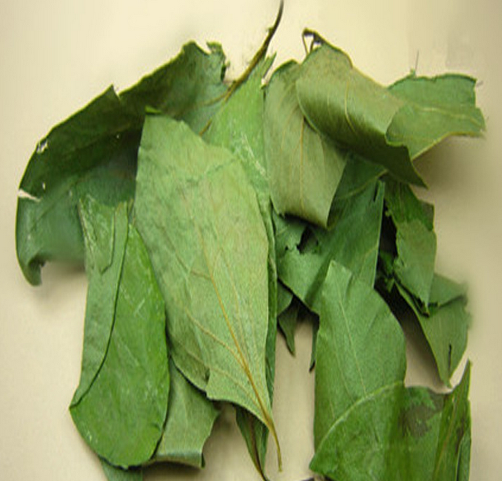 100% Nature Flavonoid 5%-40% UV Persimmon Leaf Extract