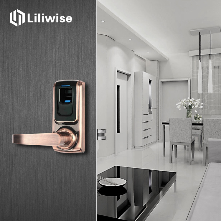Apartment Fingerprint Door Lock Cylinder Access 10,000 Times Battery Life