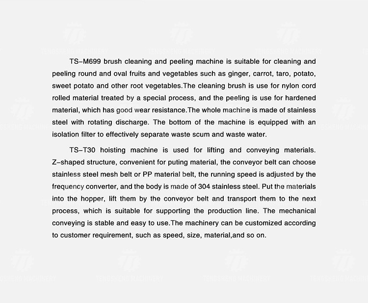 Stainless Steel Fruit And Vegetable Processing Line Brush Cleaning And Hoisting