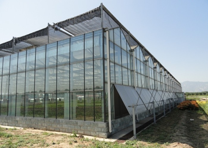 12m Span Gutter Connected Venlo Tempered Glass Greenhouse For Flowers 12x10 12x12 12x14