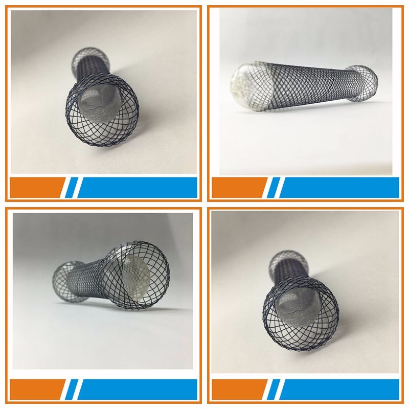 medical esophagus stents with CE