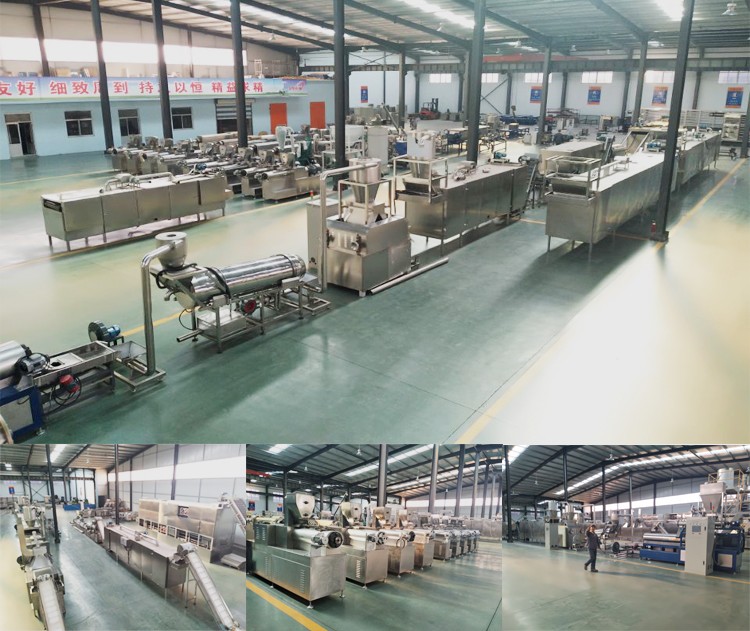 Simens Main Motor Controlled Automatic Dog Pet Food Making Machine for Production