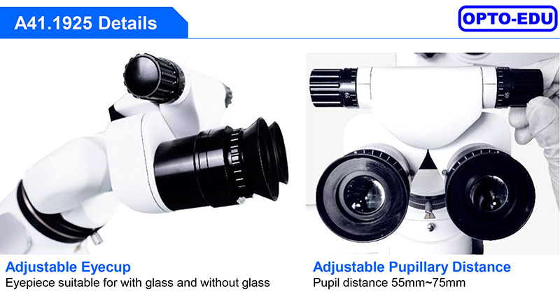 One Head Surgical Operating Microscope 0-200° Manual Zoom 2.5x~21x Dental ENT A41.1925
