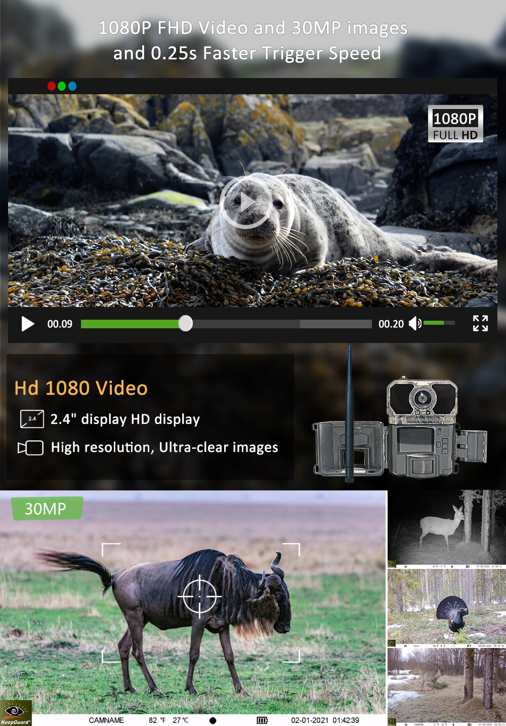 Infrared Digital 4G Trail Camera For Animal Monitoring IP67 Waterproof