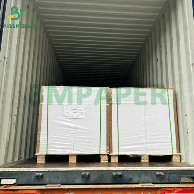 Food Grade 250Gram 737mm Waterproof Cupstock 1 PE Paper for Cups