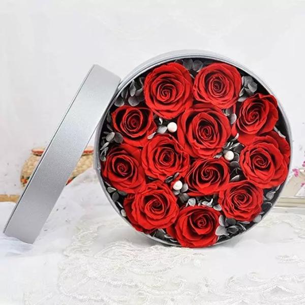 natural fresh flower long lasting preserved rose for birthday gift Never