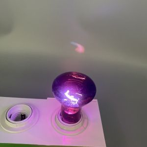 75W UVA Spot Lamp For Reptile And Amphibian Bearded Dragon Lizard Tortoise