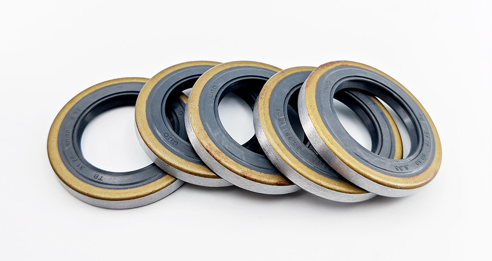 Rubber TB Type Oil Seal Double Lip Skeleton Oil Seals NBR FKM Oil Seal