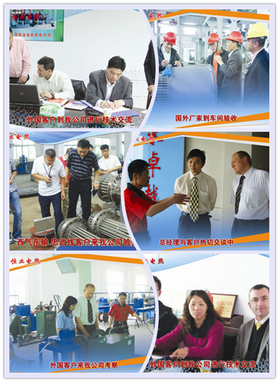High Efficiency Mini Immersion Heater , Industrial Explosion Proof Heater