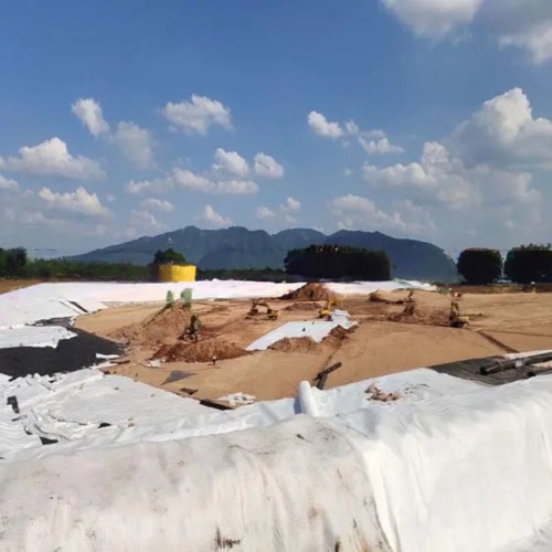 50m/100m Length HDPE Mesh 3D Composite Drainage Composite Geo Net in Black White