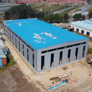 Prefabricated Steel Warehouse Workshop Q235B Q355B Customized