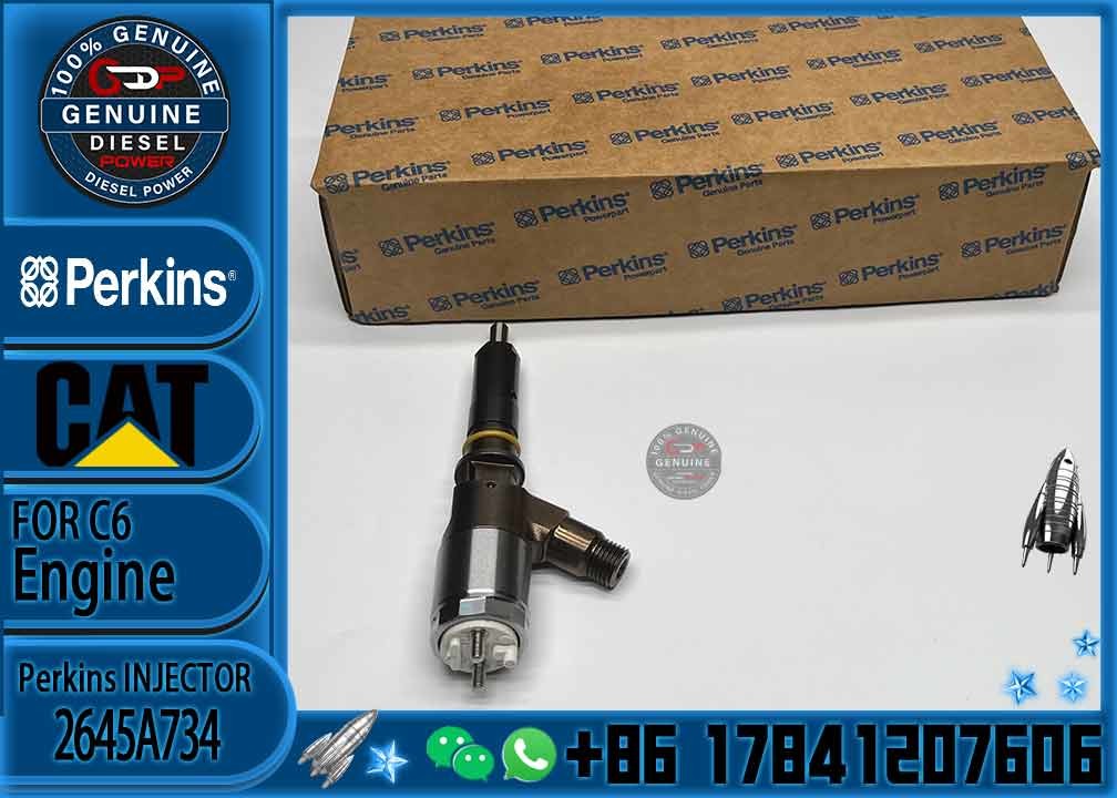 CAT C6.6 injector 306-9380 2645A734 Injection Nozzle 282-0490 2645A709 FOR E312D E313D E320D E321D injector assembly