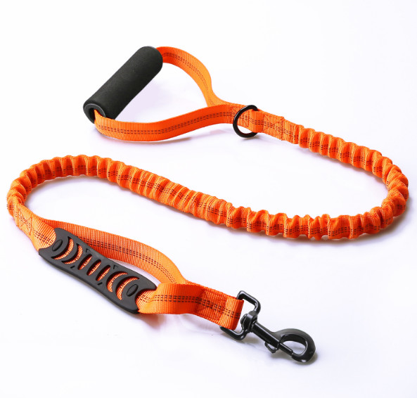 Extendable lead for large dogs